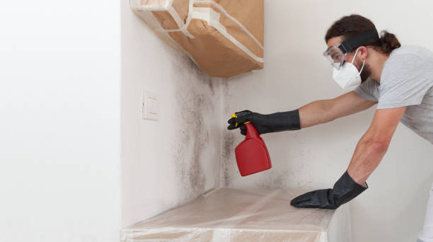 Professional Bathroom Mold Removal technician working in North Miami Beach, FL